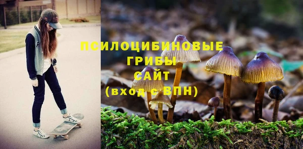 MDMA Беломорск